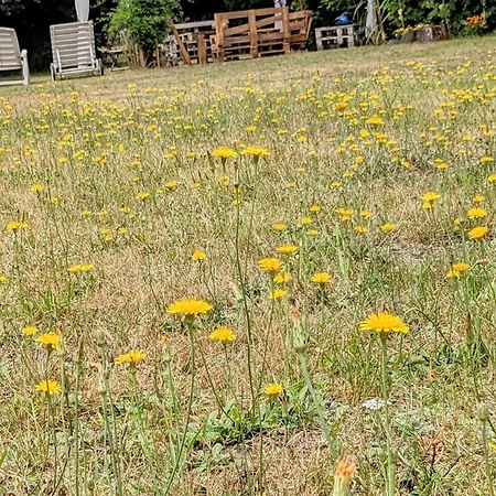 Ga Grudzianka * Lwowek