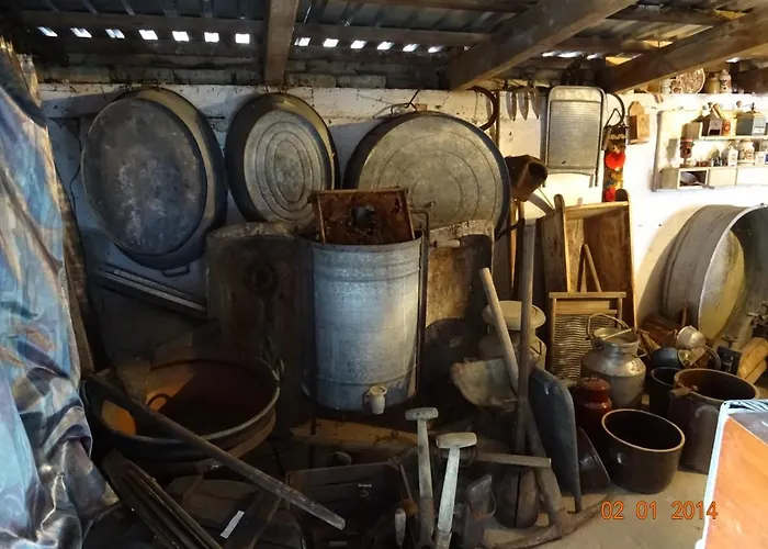 Ga Grudzianka 팜스테이 Lwowek