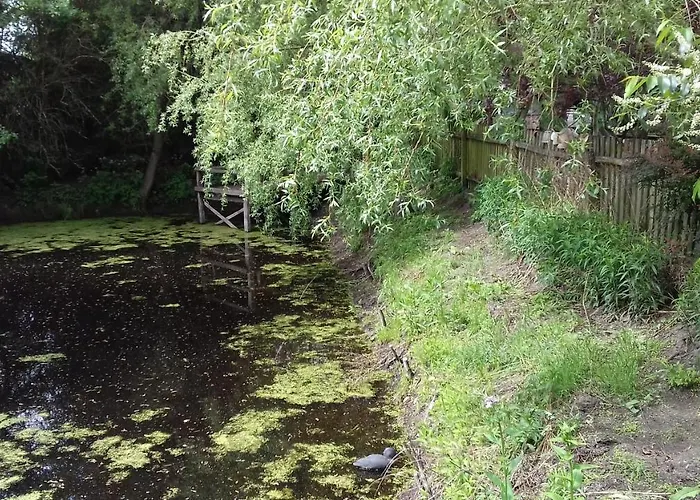 Ga Grudzianka * Lwowek