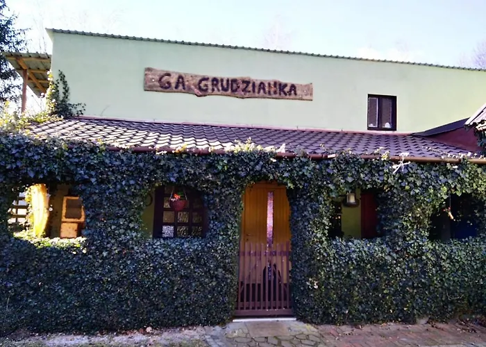 Ga Grudzianka 팜스테이 Lwowek