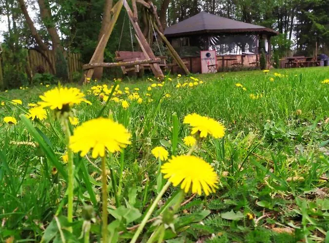 Ga Grudzianka 팜스테이 Lwowek